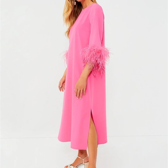 Hot Pink Feather Jamie Dress
TUCKERNUCK - Picture 3 of 6